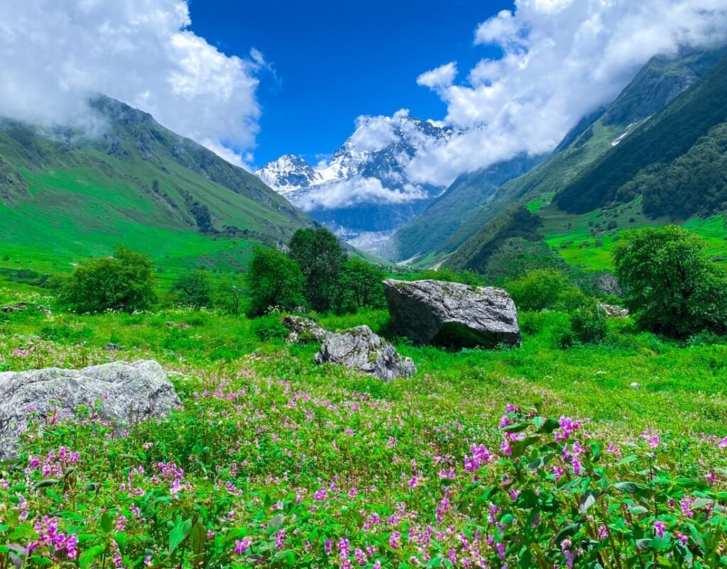Valley of Flowers with Hemkund Sahib Trek