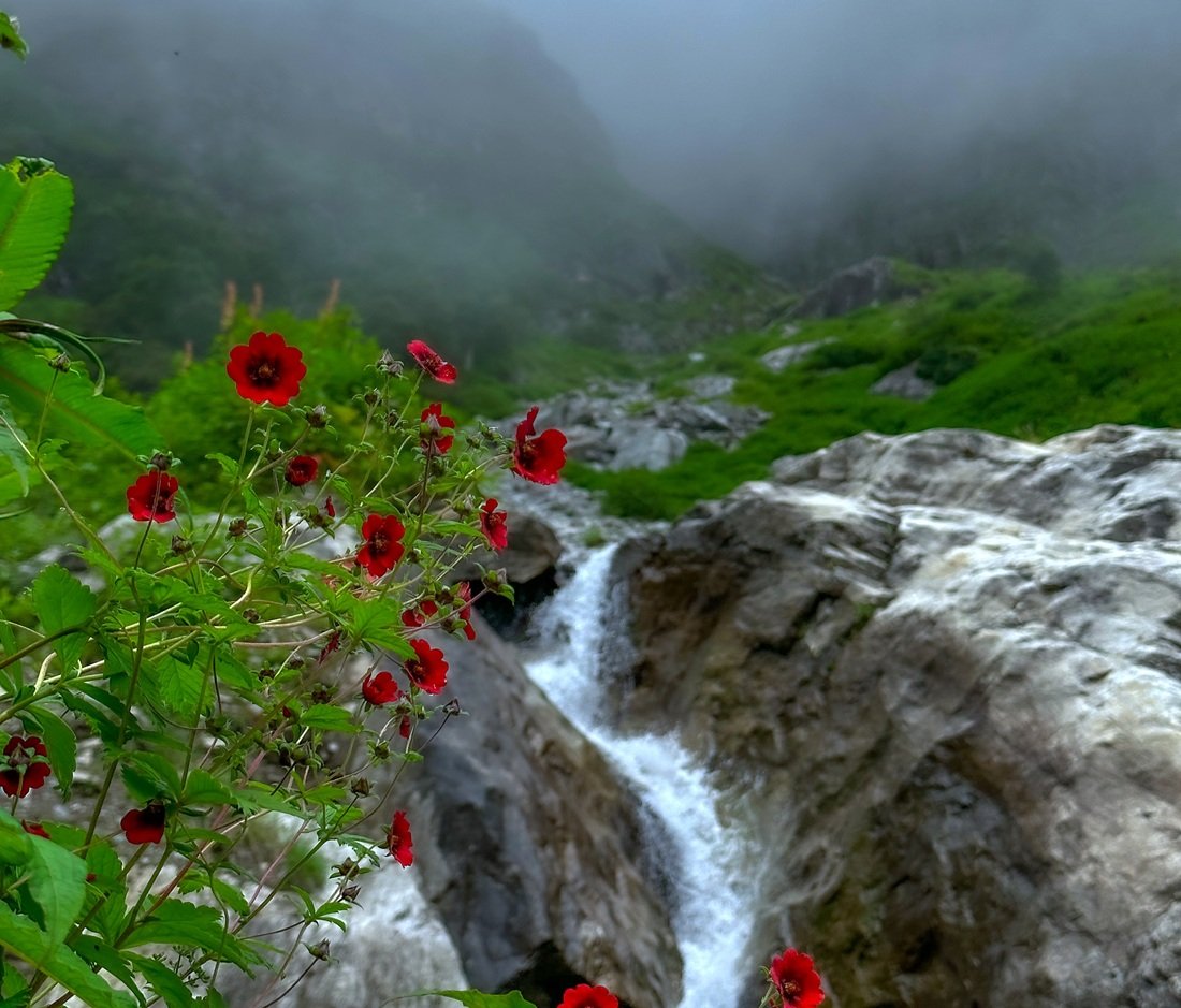 Valley of Flowers with Hemkund Sahib Trek